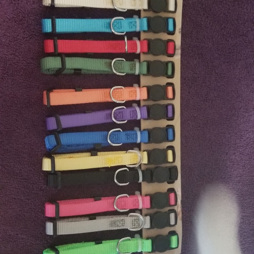 Personalized dog/cat collar.